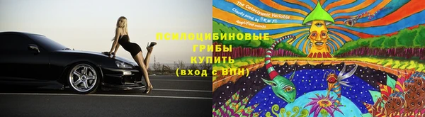 крисы Рославль