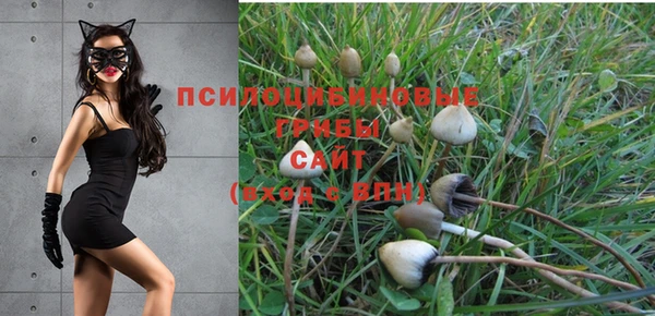 твердый Алексеевка