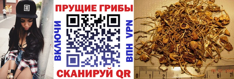 Галлюциногенные грибы мухоморы  Каргат 